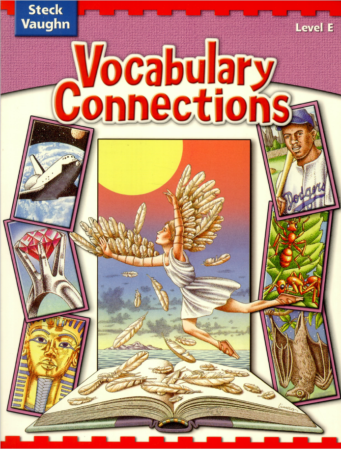 Vocabulary Connections - Level E